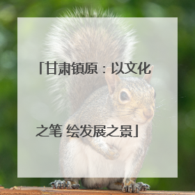 甘肃镇原：以文化之笔 绘发展之景